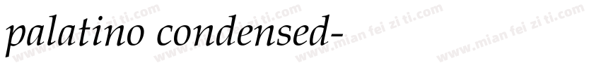 palatino condensed字体转换